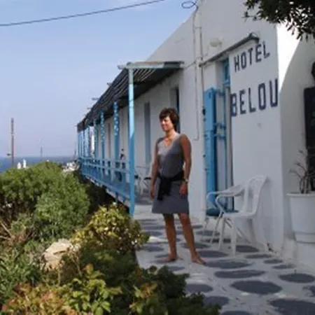 Guest house Belou 2*